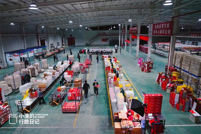 厲害了大陜西!全國水果類品牌價值的榜首,竟是陜西的洛川蘋果!