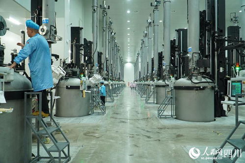 萬千氣象看四川 百億級新材料項目填補德陽太陽能發電設備制造空白