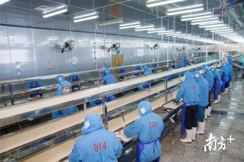 逆勢上揚 電白企業 危中取機 方法論