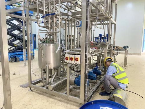 預(yù)計(jì)今年底達(dá)產(chǎn)產(chǎn)值1.8億元 華東最大奶酪加工工廠建成