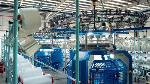 錦繡云嶺 一塊布織就幸福