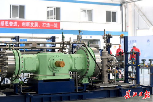 建氫能樞紐城市,武漢有譜 武漢市人民政府門戶網(wǎng)站