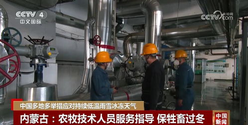 保生產 保民生 多地多舉措應對持續低溫雨雪冰凍天氣
