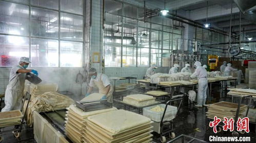 春節(jié)拼經(jīng)濟(jì) 超6000家浙江企業(yè)假期不停工