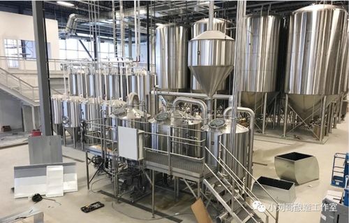 啤酒發(fā)酵的那些事 啤酒酵母