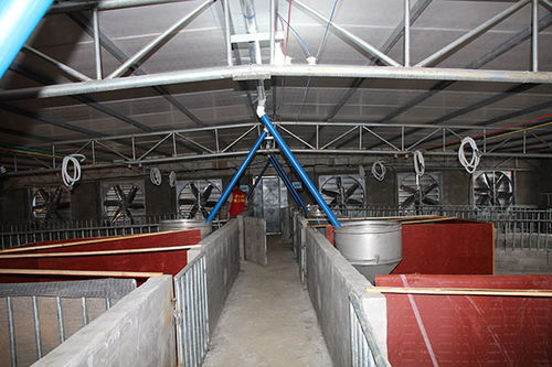 養(yǎng)豬場(chǎng)降溫設(shè)備推薦與才納冷氣設(shè)備品質(zhì)保障